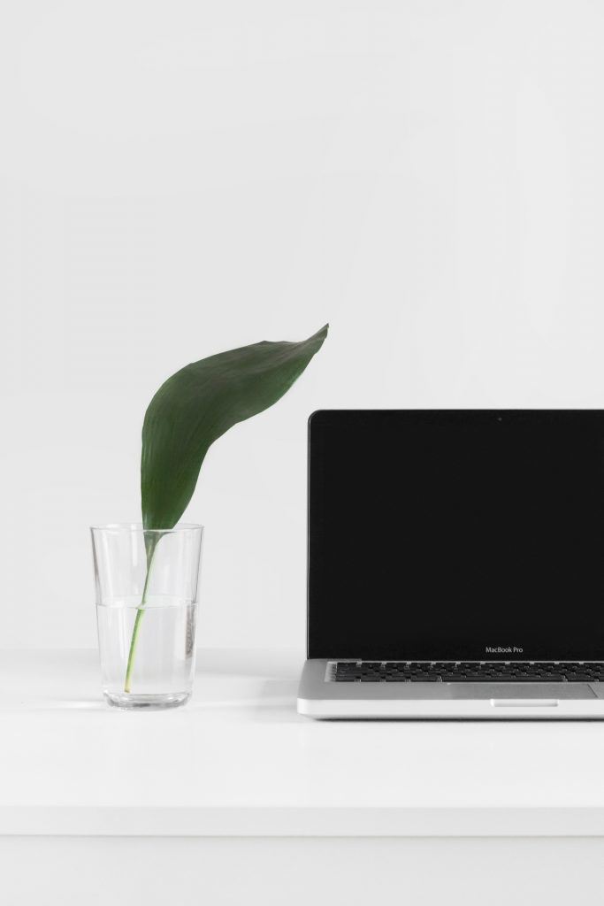 Laptop mit Pflanze